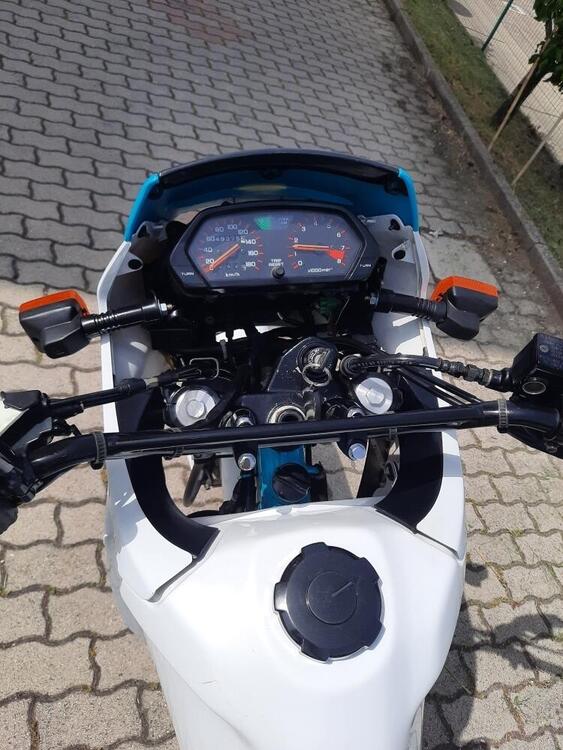 Honda Dominator 650 (5)