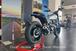 Ducati Scrambler 800 Icon (2023 - 24) (6)