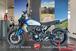 Ducati Scrambler 800 Icon (2023 - 24) (7)