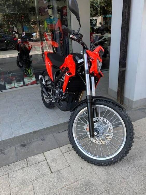 Betamotor Alp 4.0 (2024) (5)