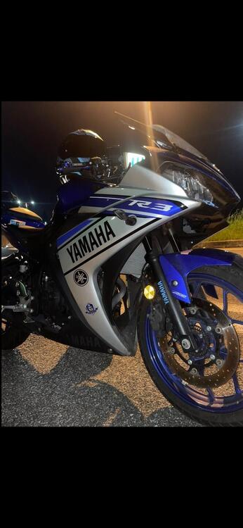 Yamaha YZF R3 (2015 - 17) (3)