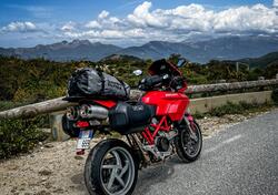 Ducati Multistrada 1000 DS (2003 - 06) usata