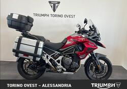 Triumph Tiger 1200 GT Pro (2024) usata