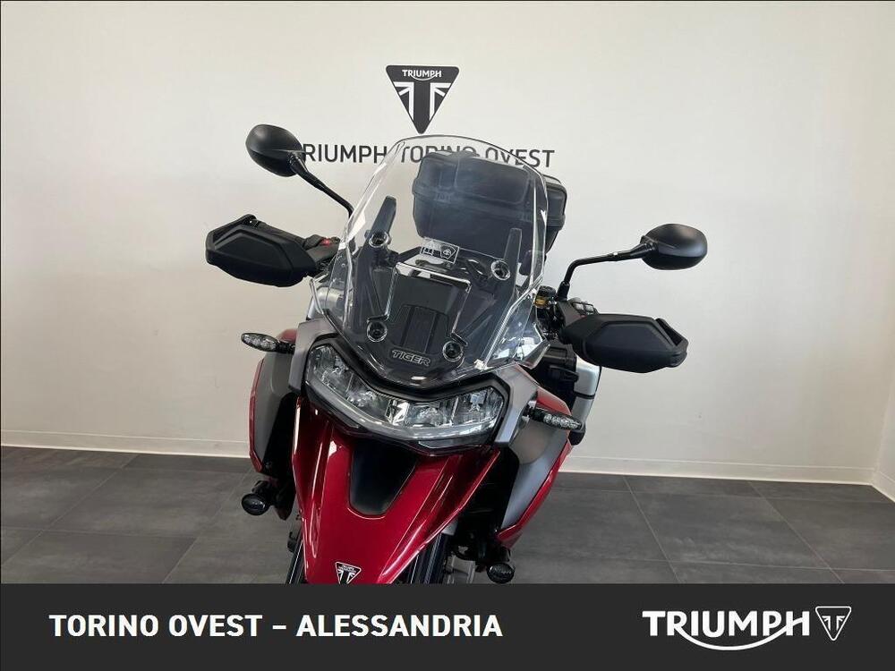 Triumph Tiger 1200 GT Pro (2024) (2)