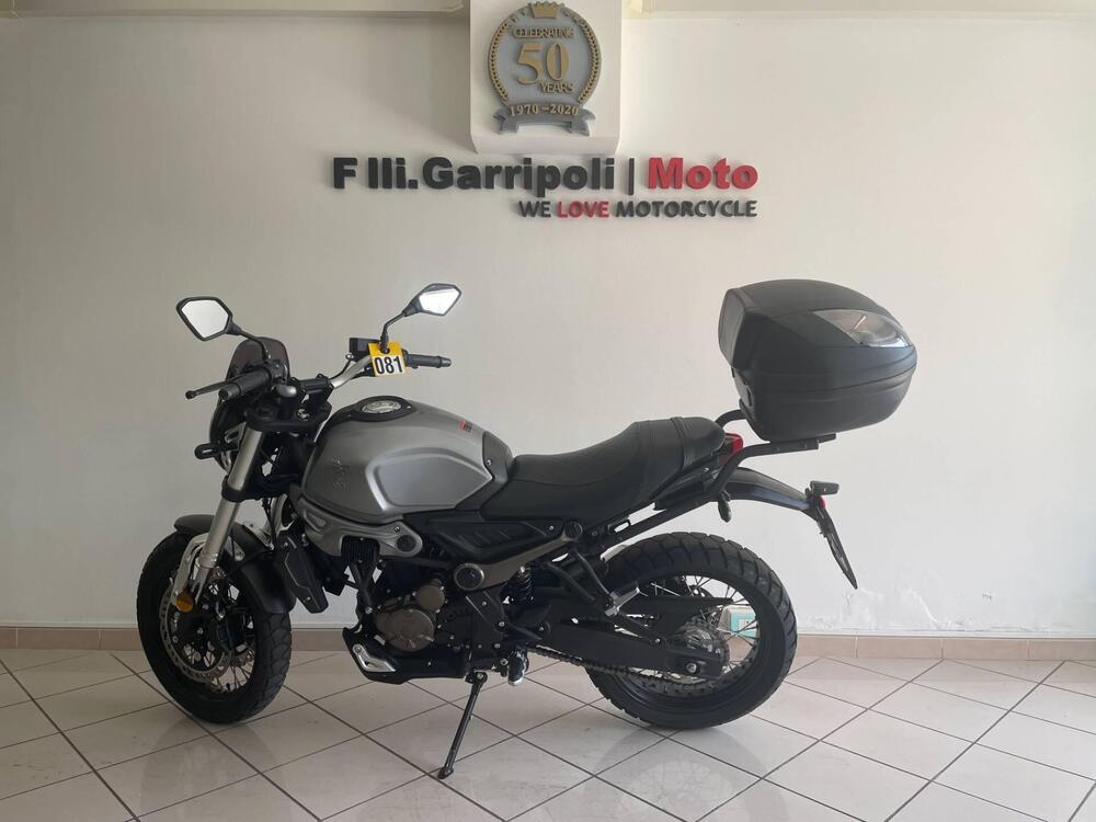 Voge Trofeo 300ACX Scrambler (2021 - 24)