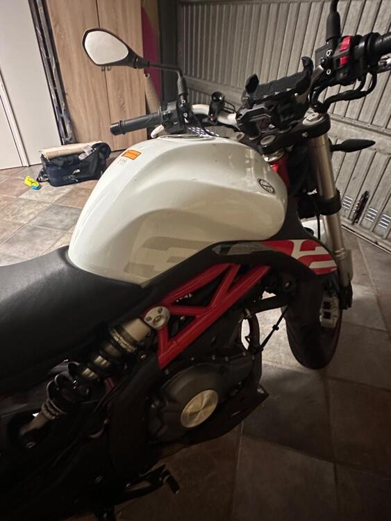 Benelli BN 302 S (2019 - 20) (3)