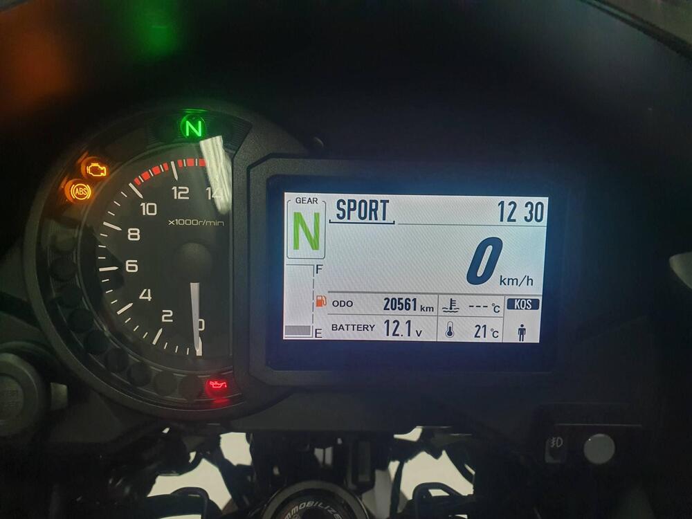 Kawasaki Versys 1000 Grand Tourer SE (2019 - 20) (4)