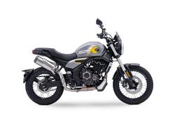 Voge Trofeo 525ACX Scrambler (2023 - 24) nuova