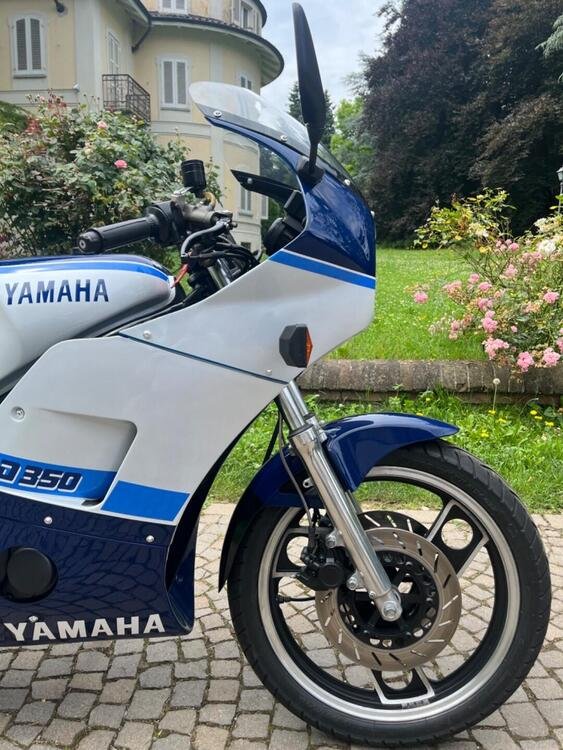 Yamaha RD 350 LCF (1988 - 93) (5)