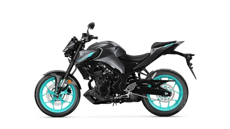 Yamaha MT-03 (2022 - 24) (9)