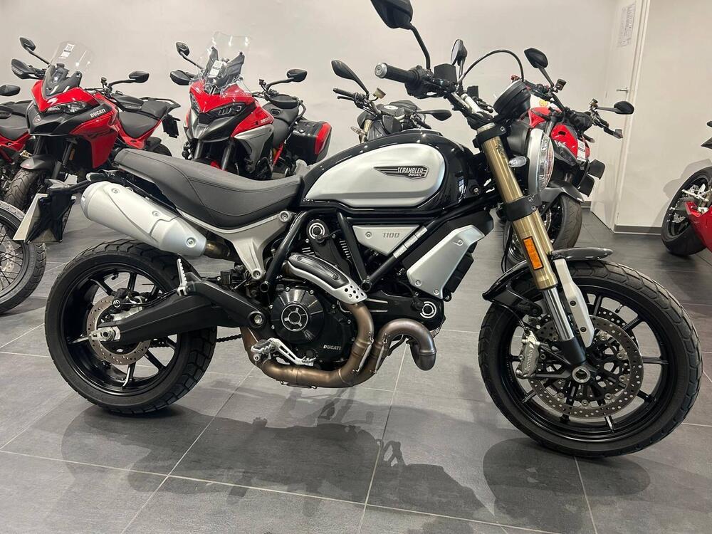 Ducati Scrambler 1100 Pro (2020 - 22)