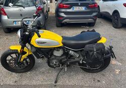 Ducati Scrambler 800 Icon (2017 - 2020) usata