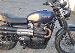 Triumph Street Scrambler 900 Gold Line Edition (2021 - 23) usata