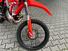 Betamotor RR 250 2T Enduro (2024) (12)