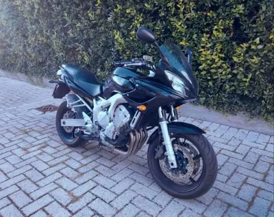 Yamaha FZ6 Fazer (2004 - 07) usata