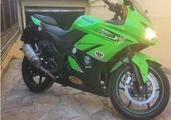 Kawasaki Ninja 250 R (2007 - 13) usata