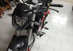 Benelli BN 125 (2018 - 20) usata