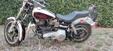 Harley-Davidson FXS 1200 Shovelhead lowrider (12)