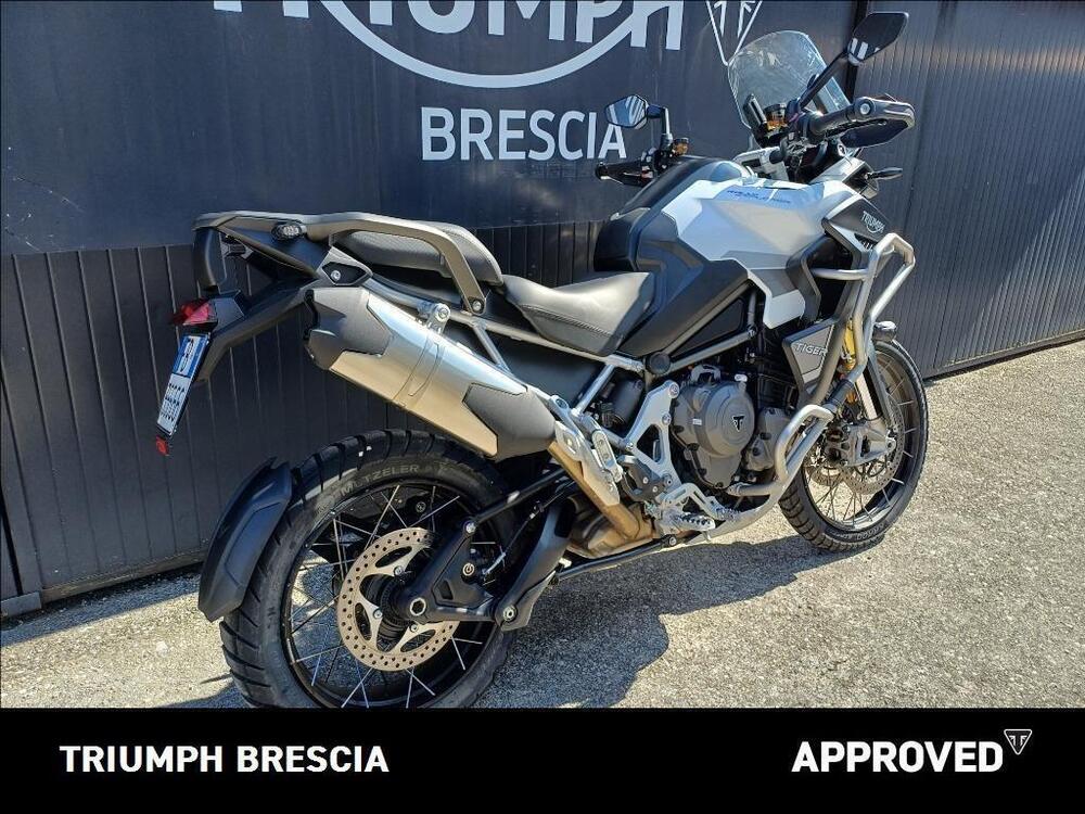 Triumph Tiger 1200 Rally Explorer (2022 - 23) (3)