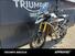 Triumph Tiger 1200 Rally Explorer (2022 - 23) (12)