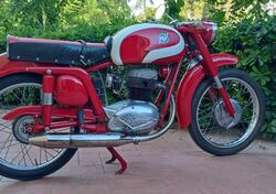 MV Agusta  175  CST d'epoca