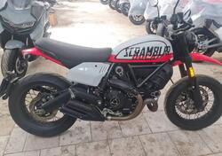 Ducati Scrambler 800 Urban Motard (2022) usata