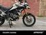 Triumph Tiger 900 Rally Pro (2020 - 23) (14)