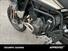 Triumph Tiger 900 Rally Pro (2020 - 23) (6)