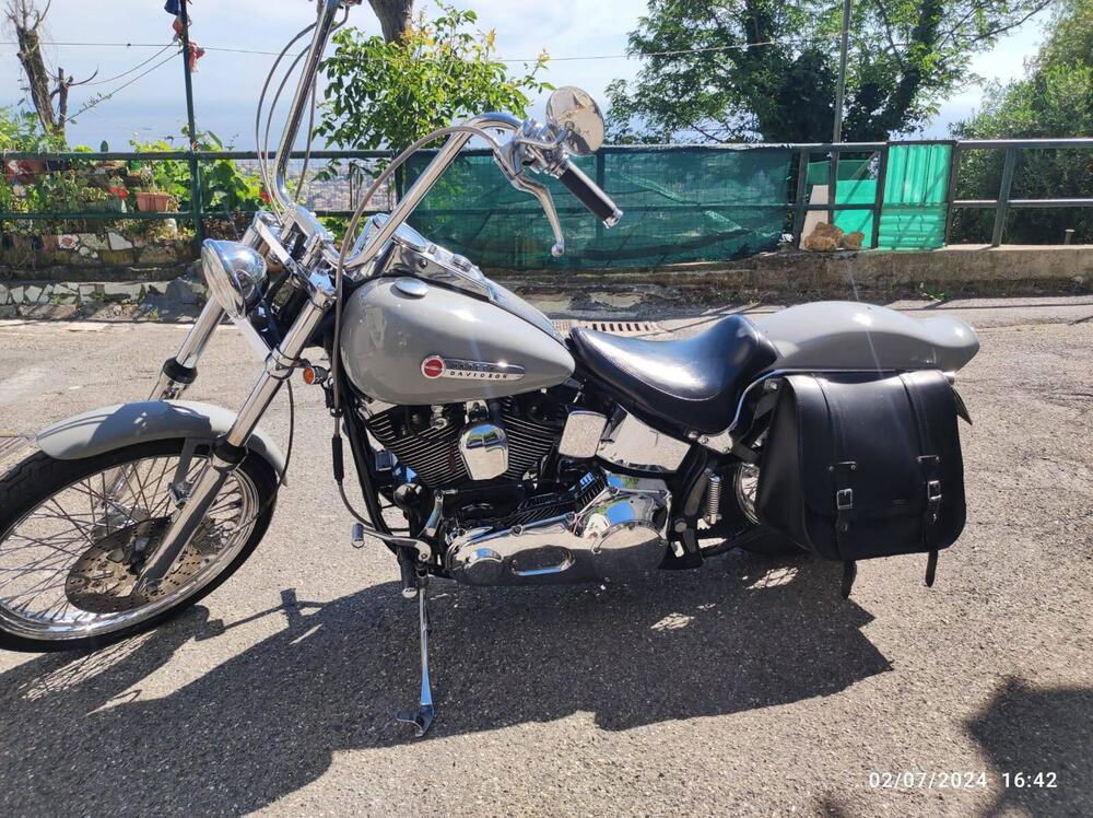 Harley-Davidson 1340 Custom (1989 - 98) (4)