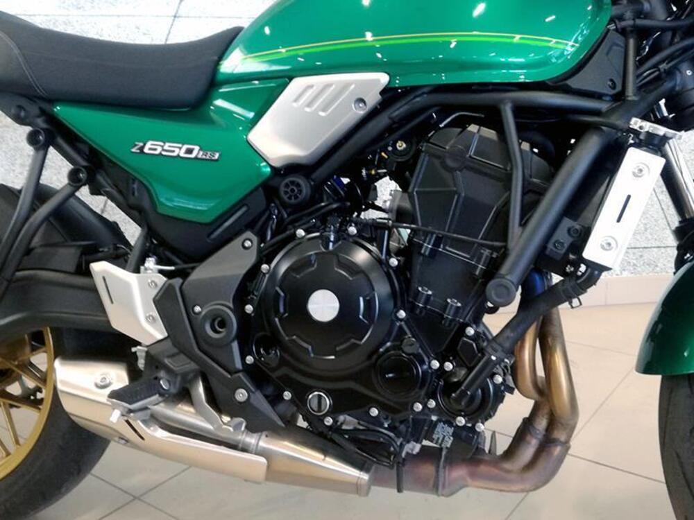 Kawasaki Z 650 (2021 - 24) (2)