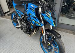 Suzuki GSX-8S (2023 - 24) nuova