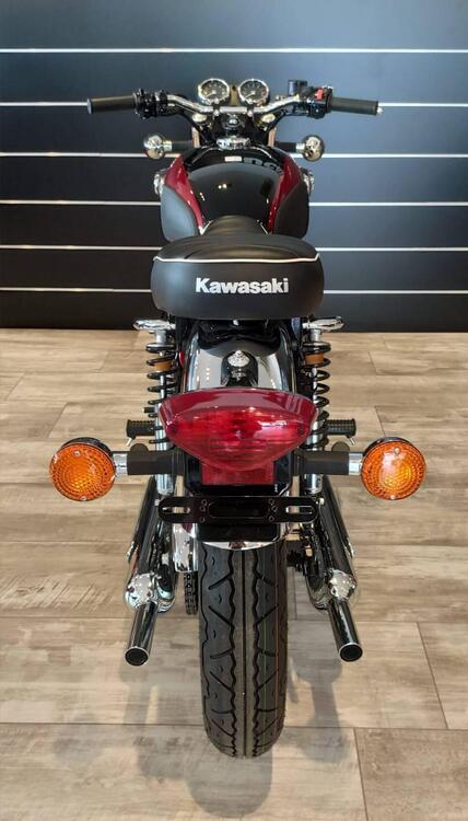 Kawasaki W 800 (2021 - 24) (3)