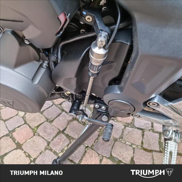 Triumph Trident 660 (2021 - 24) (5)