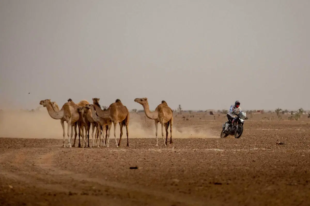 Africa Eco Race 2024, è online “Aprilia Tuareg queen of Africa”: il documentario dell'impresa (3)