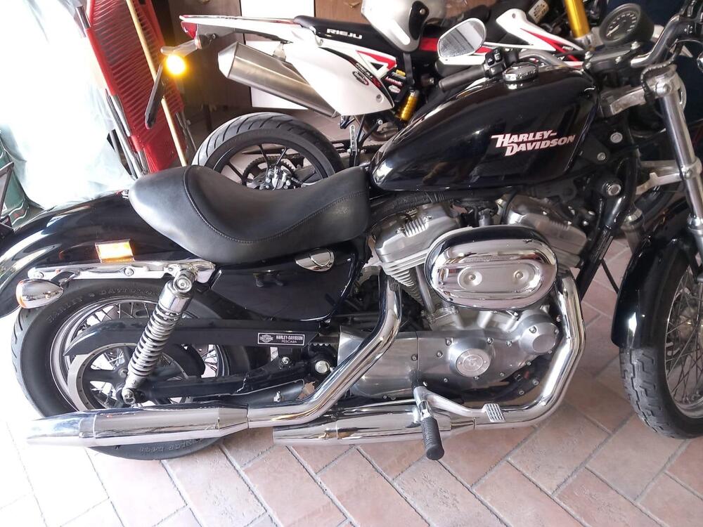 Harley-Davidson 883 (2008 - 09) - XL (2)