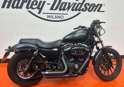 Harley-Davidson 883 Iron (2014 - 16) - XL 883N usata