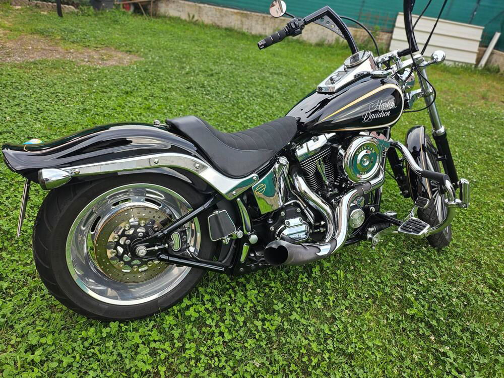 Harley-Davidson 1584 Custom (2007) - FXSTC (3)