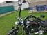 Harley-Davidson 1584 Custom (2007) - FXSTC (12)