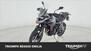 Triumph Tiger 900 GT Pro (2020 - 23) (6)