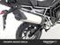 Triumph Tiger 900 GT Pro (2020 - 23) (21)