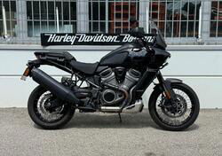 Harley-Davidson Pan America 1250 Special (2020 - 24) usata