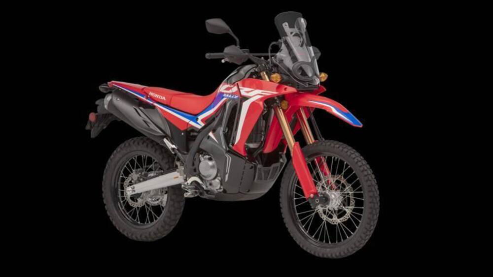 Honda CRF 300 Rally (2021 - 24)