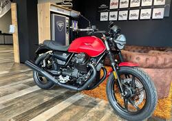 Moto Guzzi V7 Stone (2021 - 24) nuova