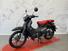 Honda Super Cub 125 (2022 - 24) (9)