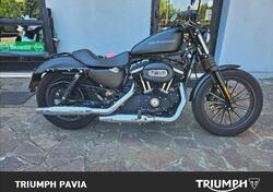 Harley-Davidson 883 Iron (2012 - 14) - XL 883N usata