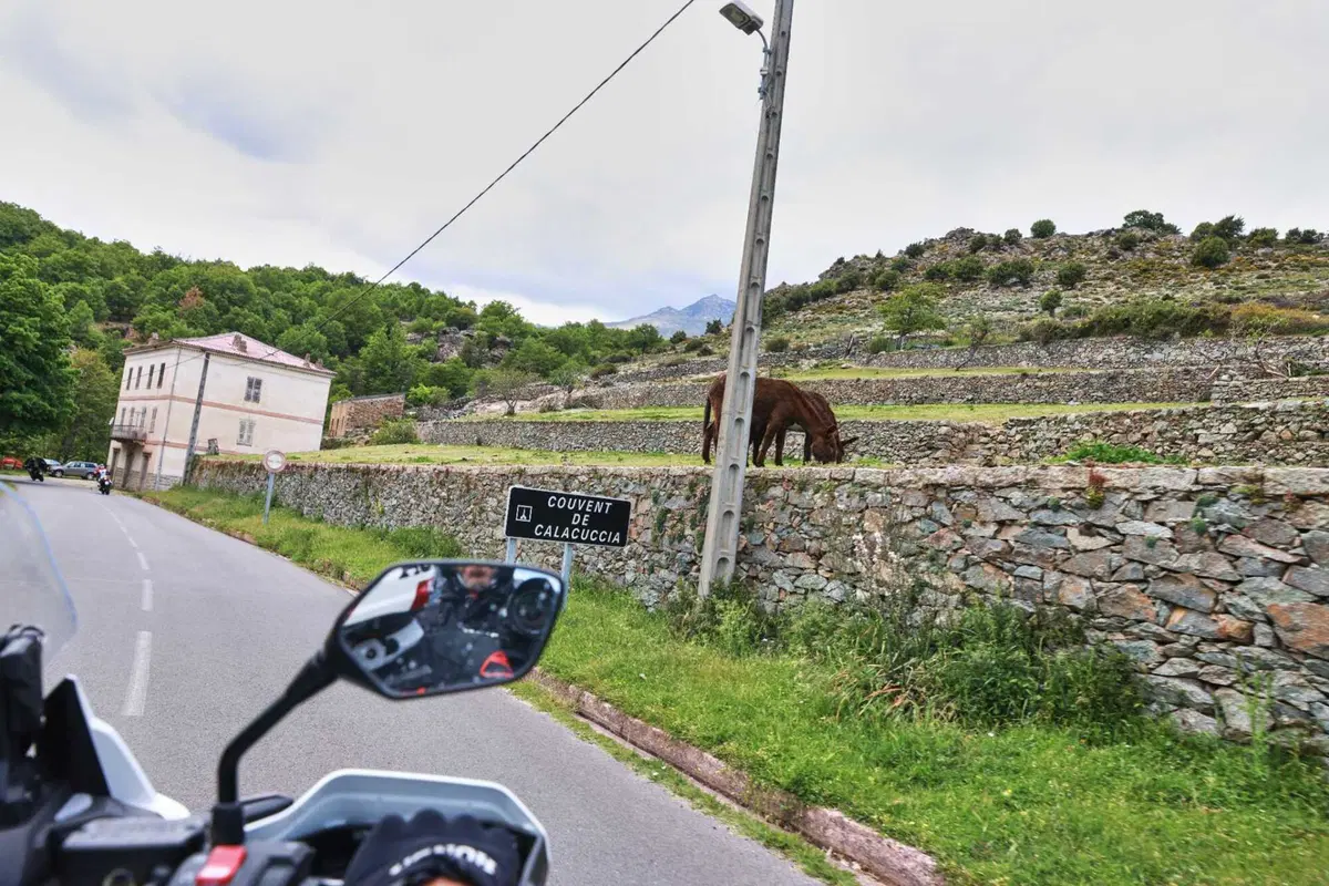 Il viaggio dei sogni sull'Africa Twin. Corsica, Sardegna e Sicilia: 1.200 km di puro godimento [VIDEO] (5)