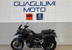 Triumph Tiger 1200 GT Pro (2022 - 23) usata