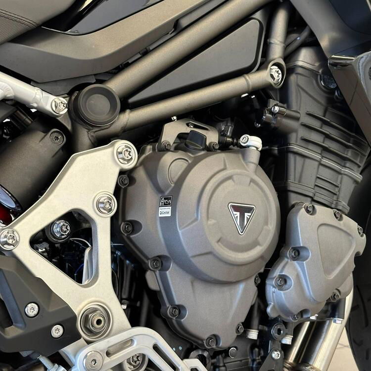 Triumph Tiger 1200 GT Pro (2022 - 23) (4)