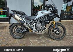 Triumph Tiger 1200 Rally Pro (2022 - 23) usata