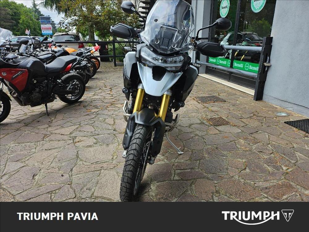 Triumph Tiger 1200 Rally Pro (2022 - 23) (3)